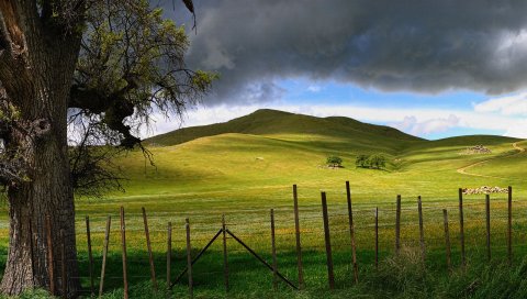 Забор, палки, дерево, защита, холмы, небо, облака, хмурый