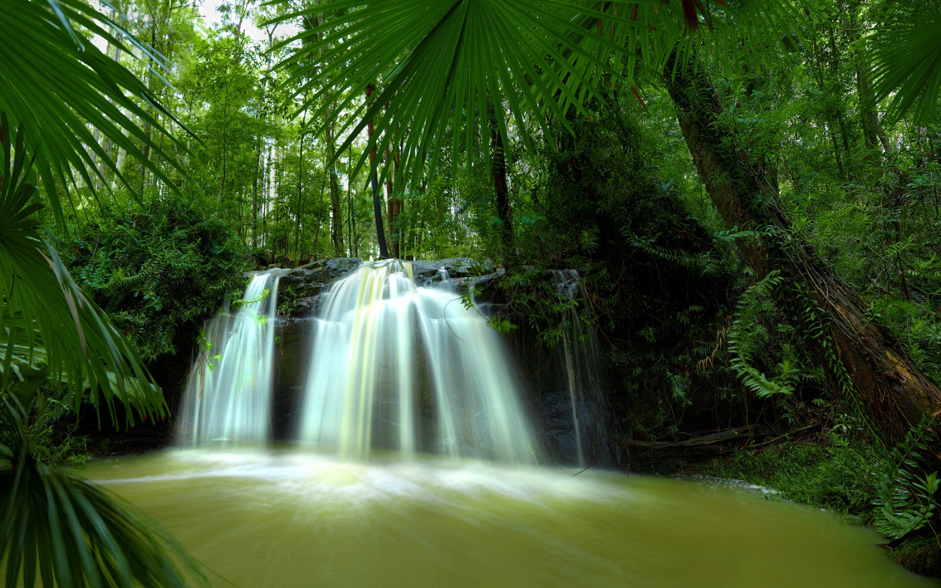 Cascad. Тропики лес водопад. Живая природа водопады. Красивая природа джунгли. Экзотическая природа.