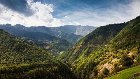 Горы, деревья, высота, провода, башня, лес