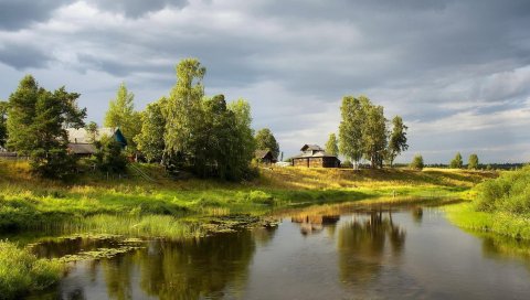 Река, деревня, небо, облачно, лето, зеленый, лилии, деревья, ручей, берег, маленький