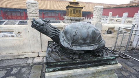 статуя, черепаха, фарфор,строительства