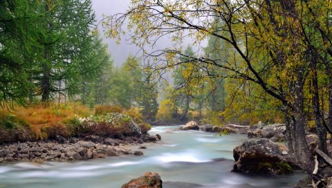 река, горы, деревья, поток, текущий, осень, камни, дымка, мох, пейзаж, облачно