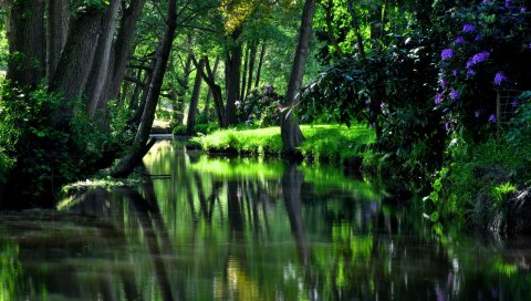 водохранилище, река, сад, цветы, деревья, тени, прохладном, дачи
