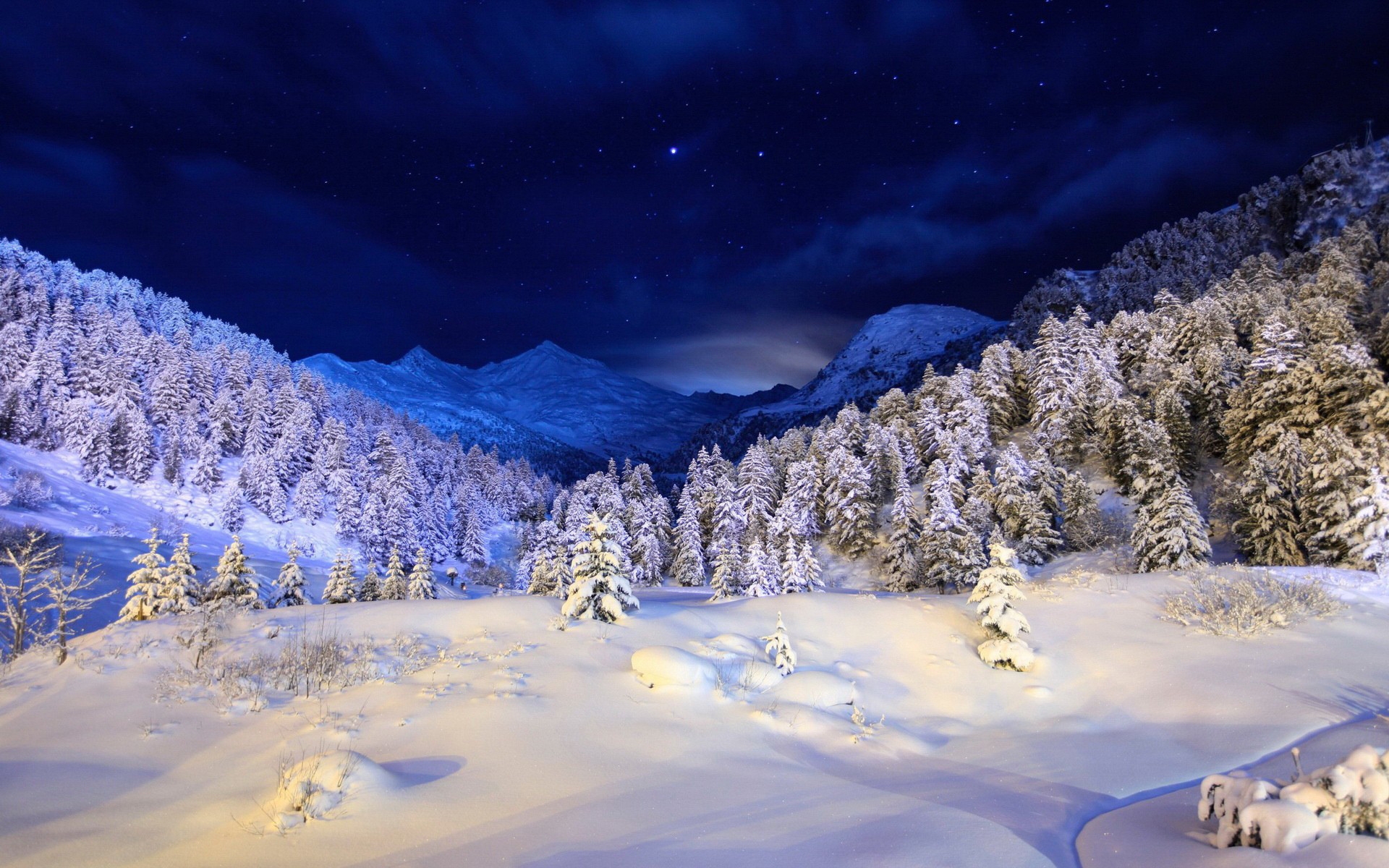 Картинки зима, снег, покрытие, ночь, свет, дерева, хвойные , звезды, темно - синий, белый фото и обои на рабочий стол