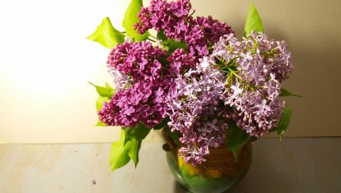 сирень, ваза, листья, весн