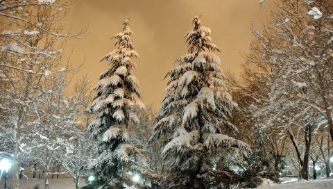 Парк, елки, снег, свет, лампа, небо, тяжелые, облака, зима, сугробы, обложка