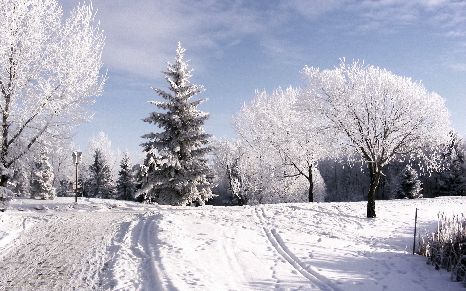 Картинки Зима, деревья, иней, лыжная трасса, следы, снег, небо, облака, подъем фото и обои на рабочий стол