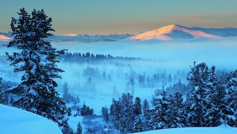 Горы, свет, снег, туман, елки, деревья, расстояние, рассвет, утро, пробуждение, пейзаж, тишина