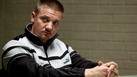 Джереми Реннер, комната, рубашка, глаза, светлые