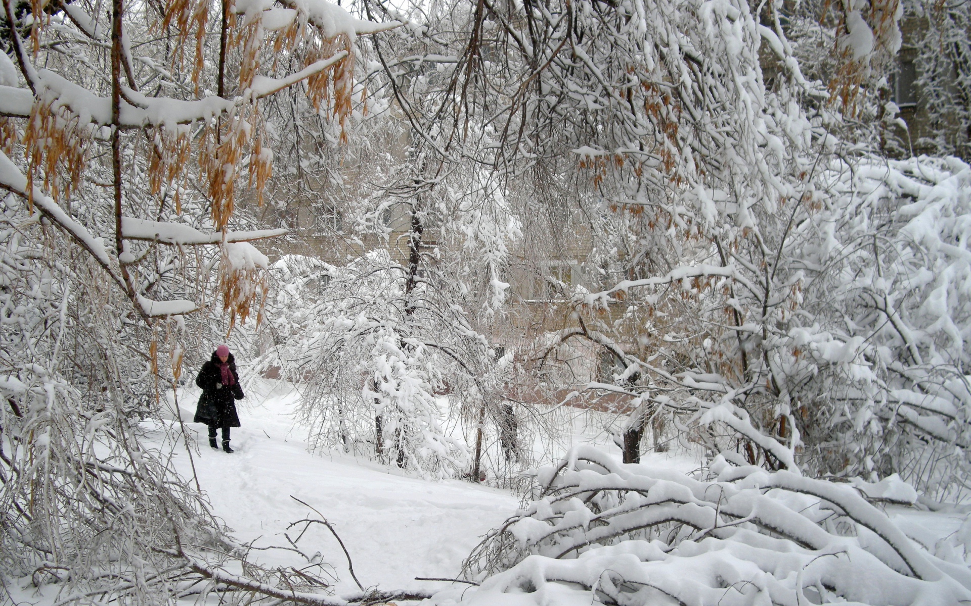Картинки парк, зима, снег, человек, ходить, сугробы, вес фото и обои на рабочий стол