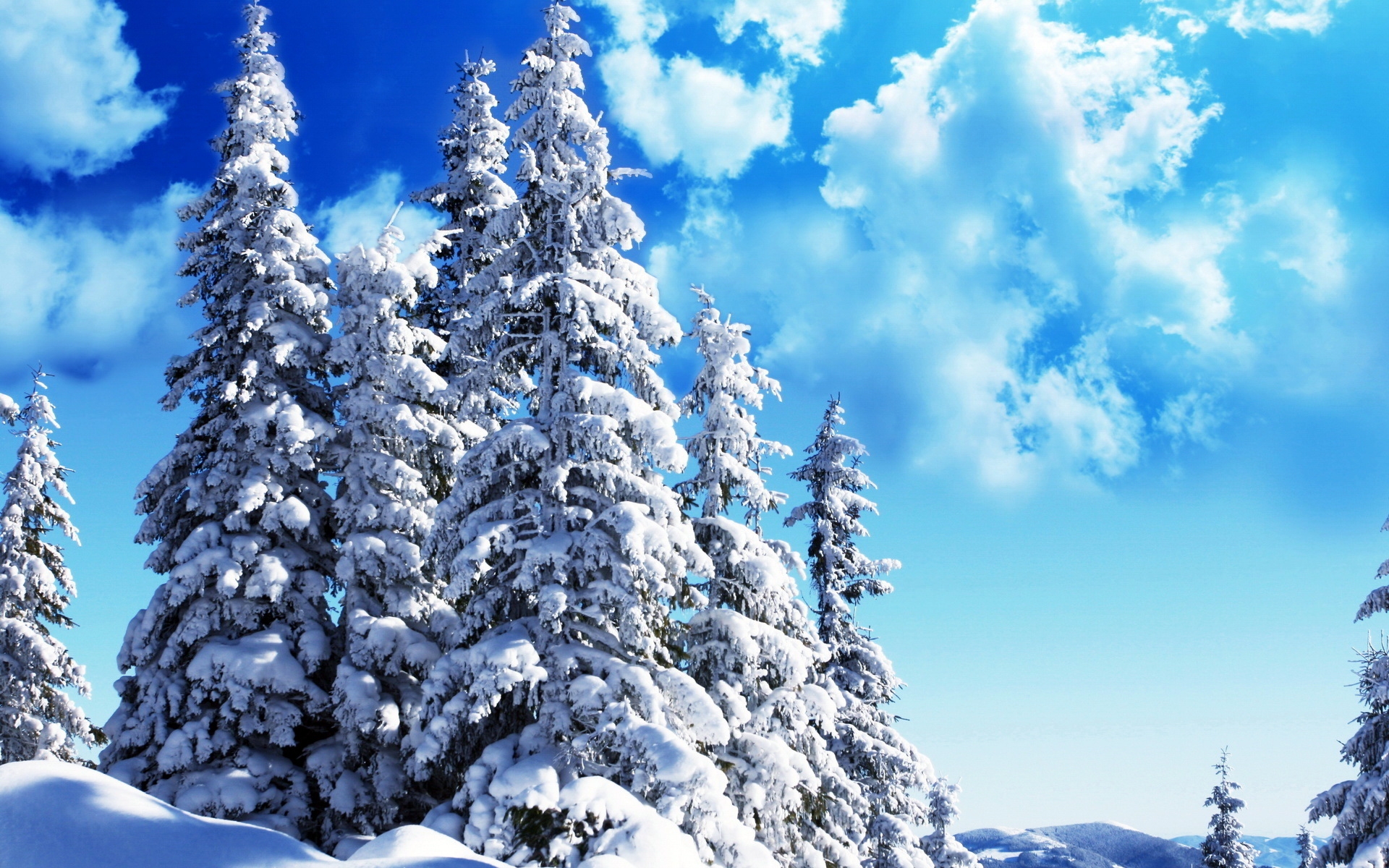 Картинки ели, небо, деревья, облака, лазурь, снег, вес,ясно, ярко фото и обои на рабочий стол