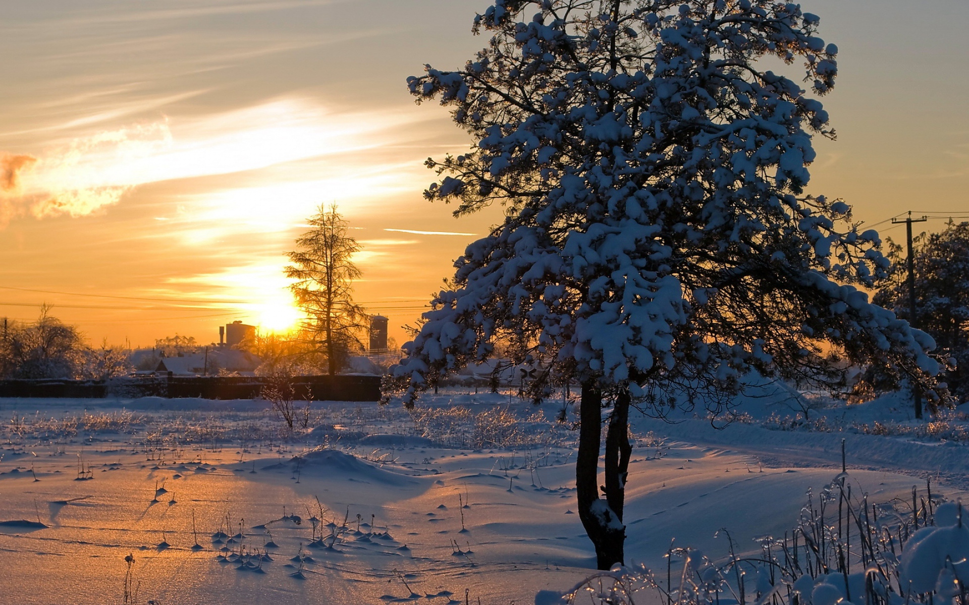 Картинки солнце, свет, закат, зима, дерево, снег, кора, блеск фото и обои на рабочий стол