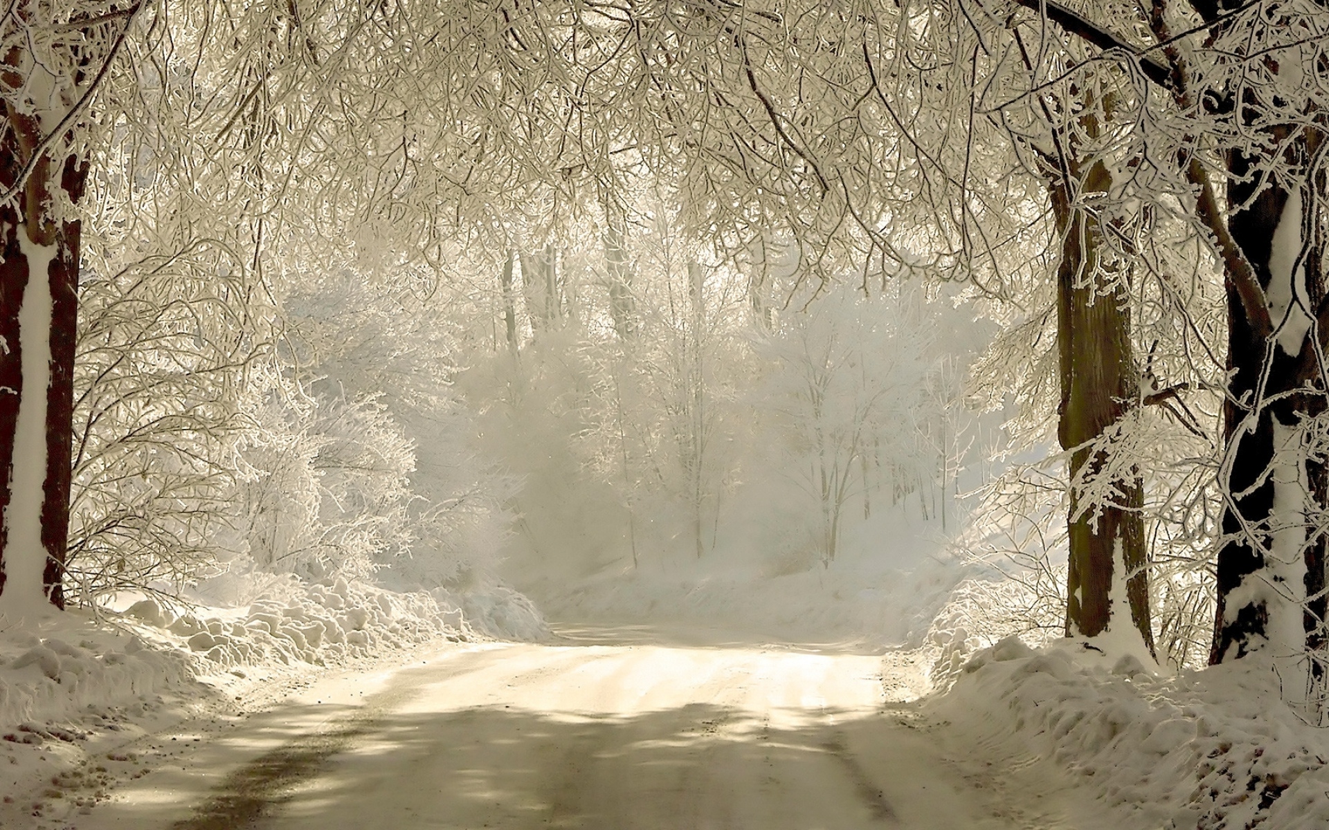 Картинки дорога, снег, деревья, иней, седые волосы, пейзаж, снежно-белый, зима, тени фото и обои на рабочий стол