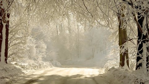 дорога, снег, деревья, иней, седые волосы, пейзаж, снежно-белый, зима, тени