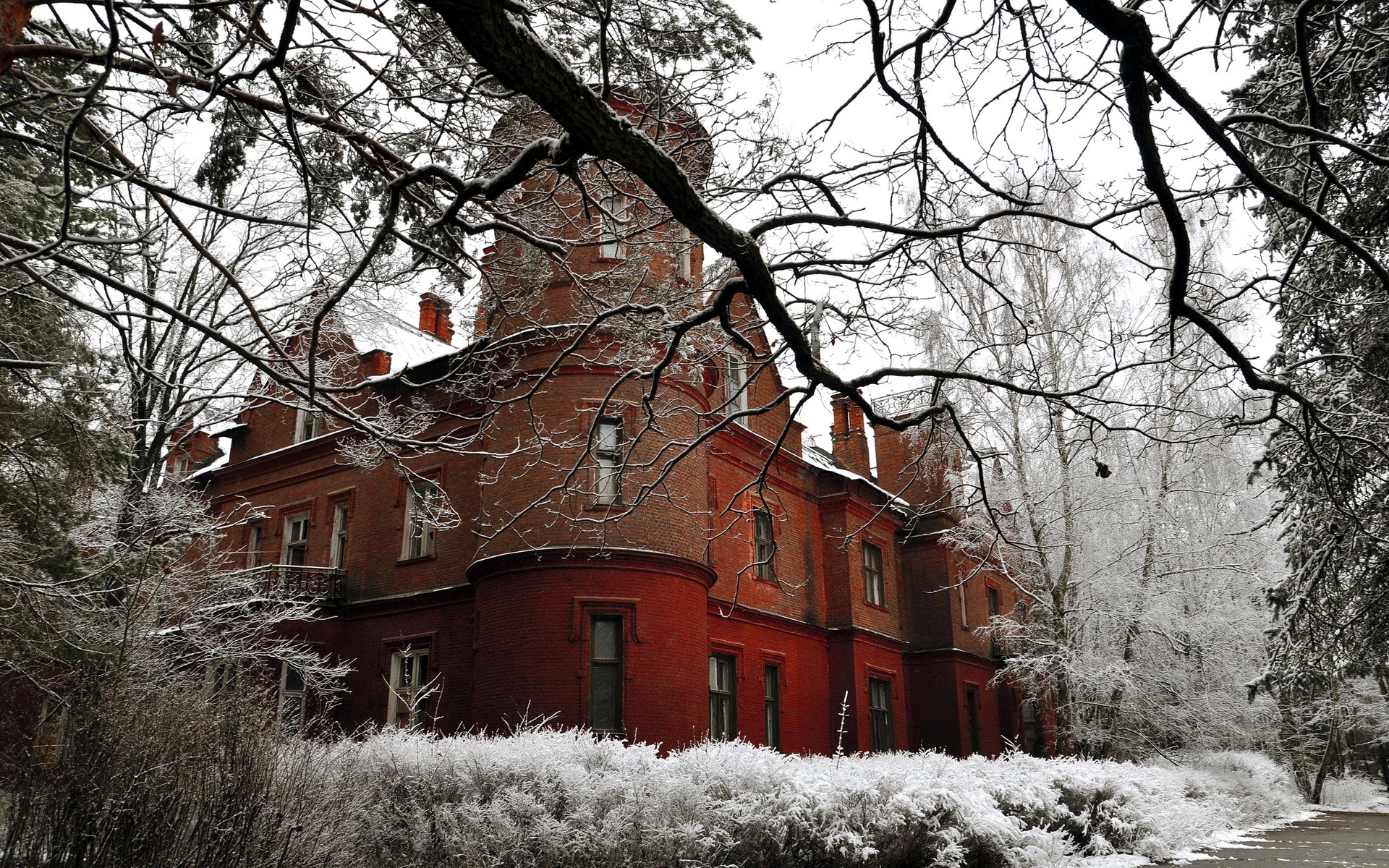 Картинки замок, структура, камень, ветка, дерево, снег, иней, кусты фото и обои на рабочий стол