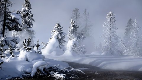 река, зима, снег, деревья, корни, пар, туман