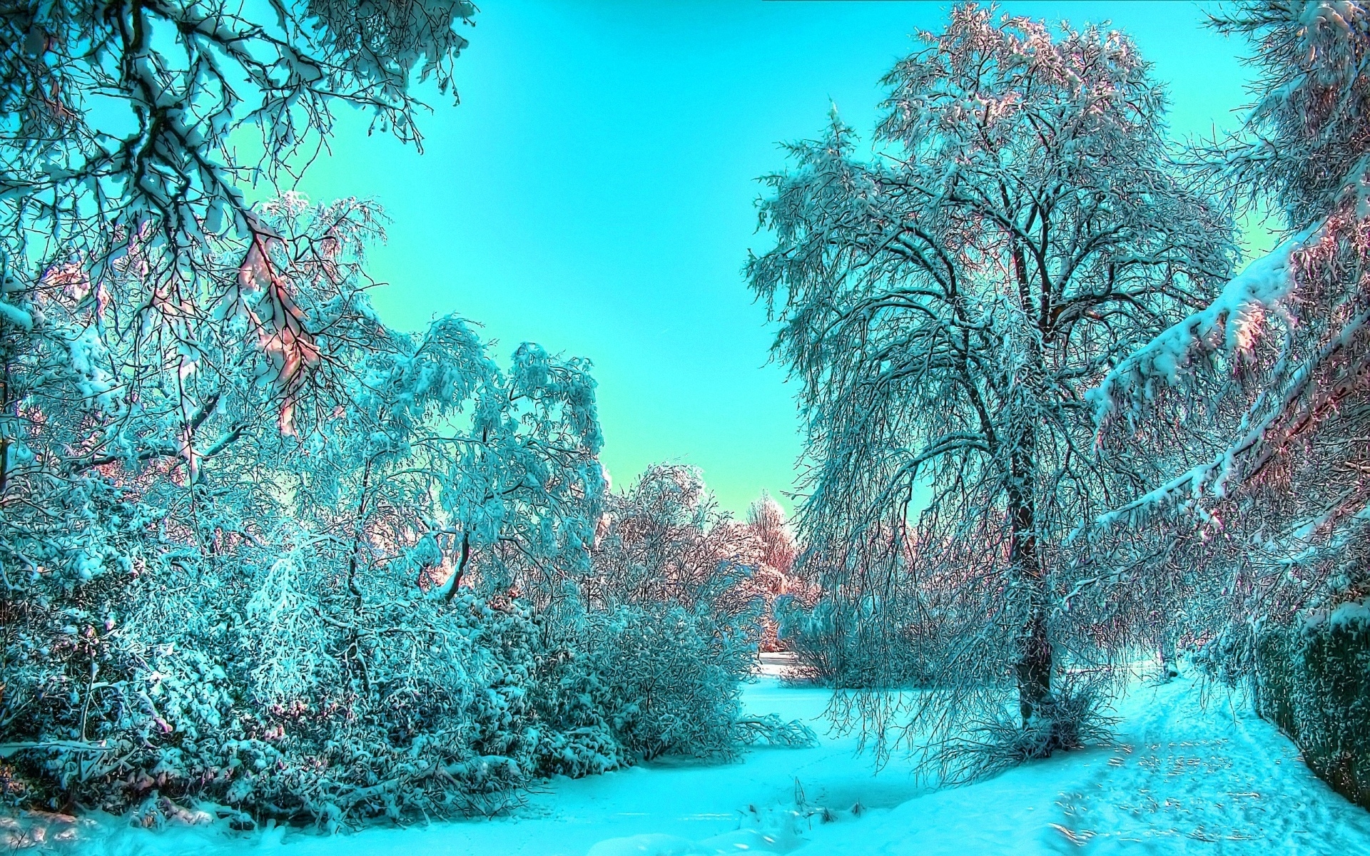 Картинки снег, зима, дерева, синий, свет, иная фото и обои на рабочий стол