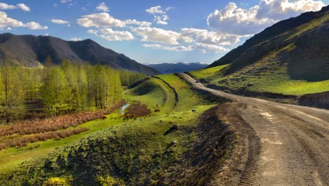 дороги, почвы, горы, рельеф, дерево, молодой рост, облака, небо, экскурсия , группа, люди, кампания
