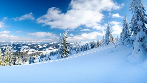 снег, склон, зима, горы, курорт, горные лыжи, деревья, елки, небо ясно ,
