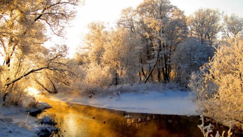 река, лес, зима , иней, седые волосы, свет, отражение, оранжевая