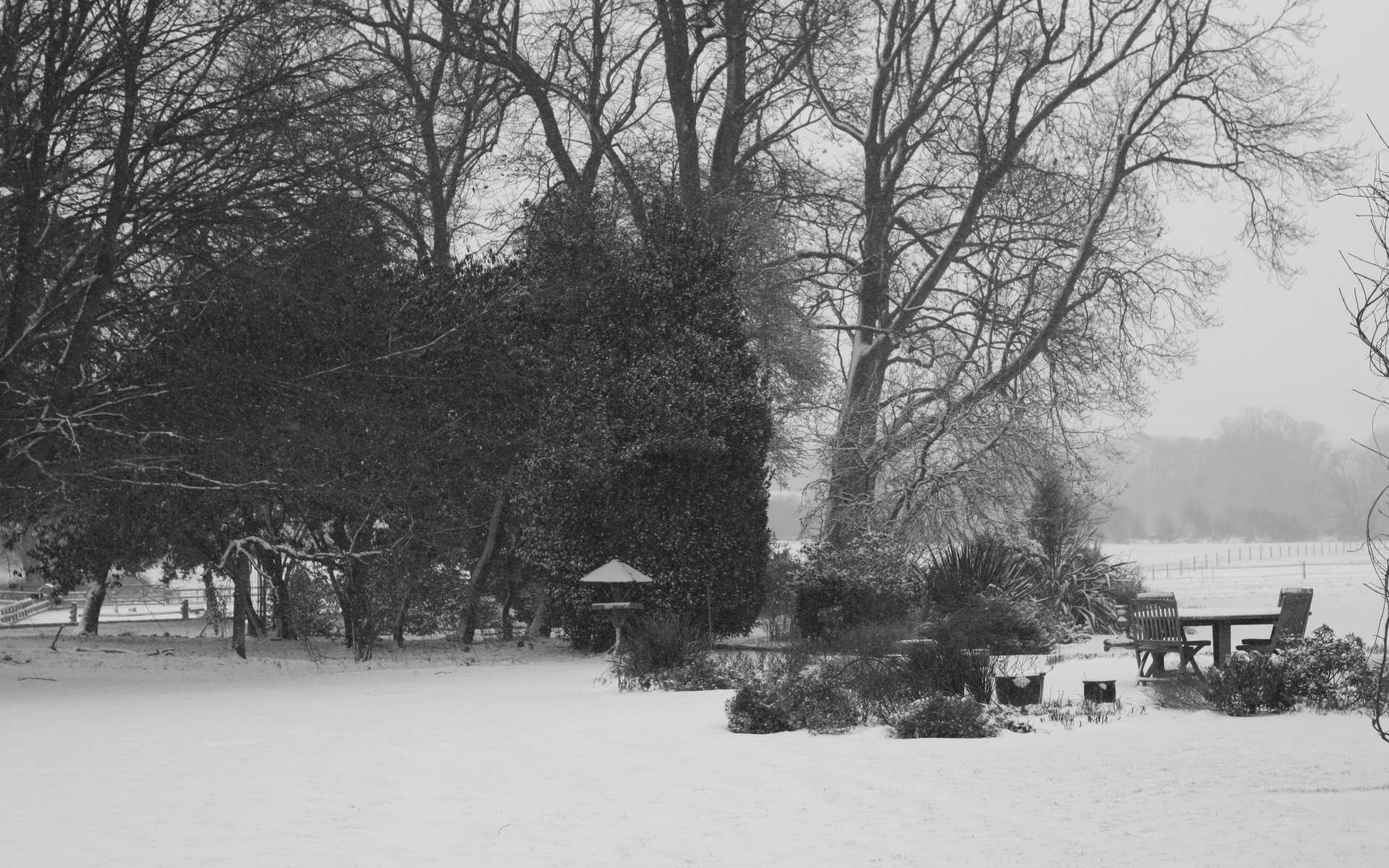 Картинки Зима, снегопад, парк, деревья, стол фото и обои на рабочий стол