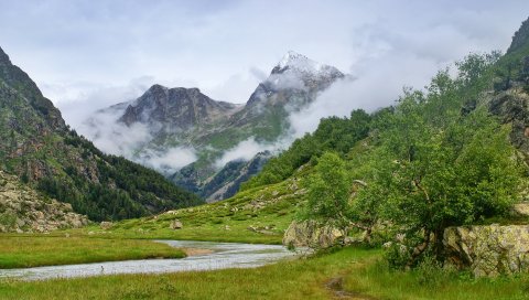 Горы, река, туман, дно, трава, дерево, спокойствие