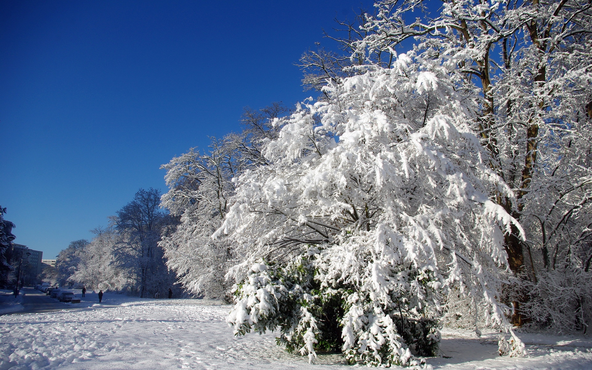 Картинки Франция, velizi-vilakubl, деревья, иней, снег, зима, ясно фото и обои на рабочий стол