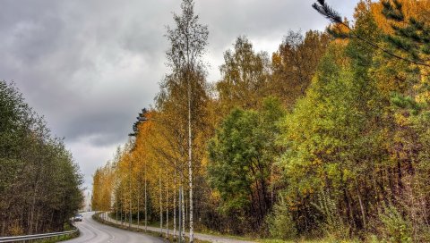 Финляндия, дорога, дерево, асфальт, деревья, осень, облачно, автомобиль