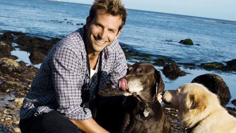 Charles bradley cooper, bradley cooper, собаки, пляж, актер, море, небо