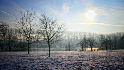 Бельгия, зима, сад, солнце, небо, ясно, деревья