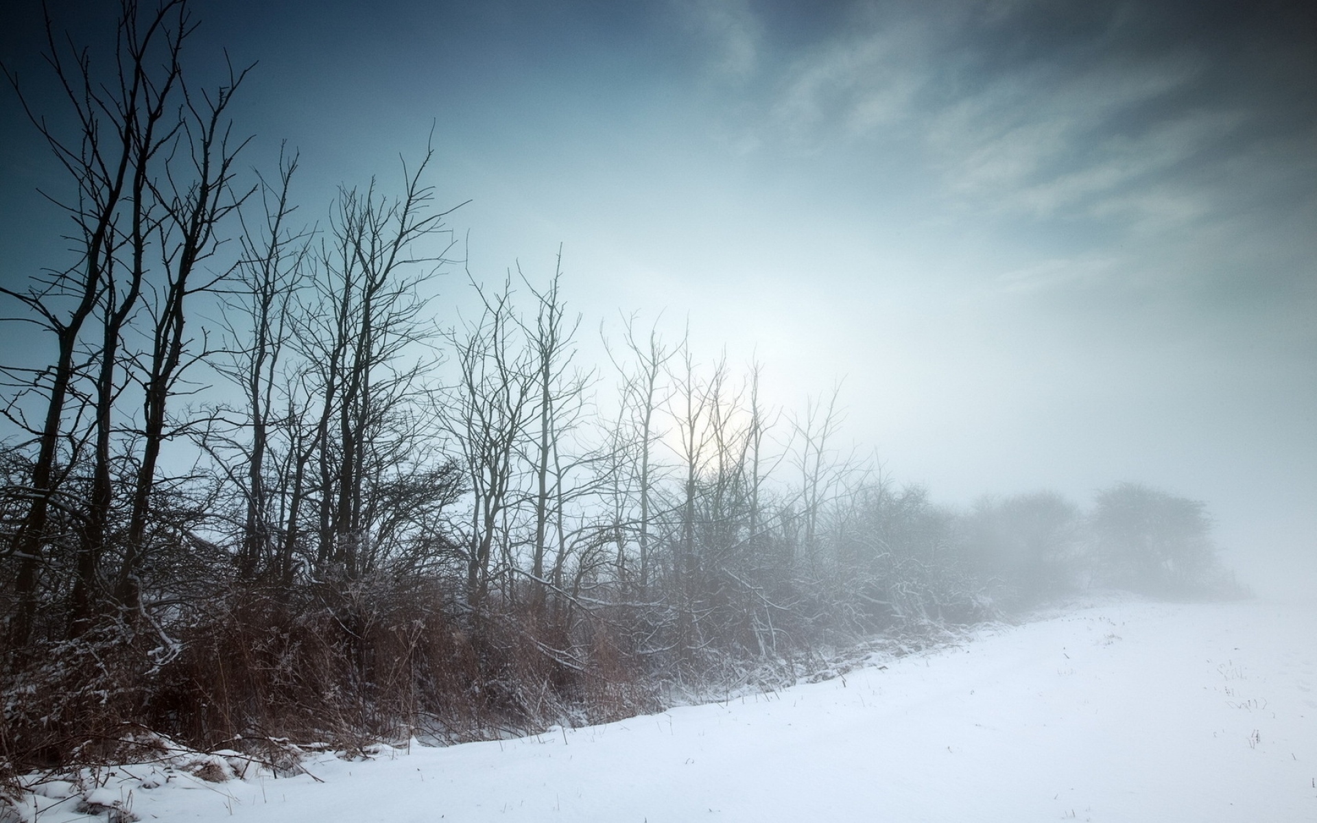 Картинки Зима, туман, деревья, тупость, холод, голый фото и обои на рабочий стол