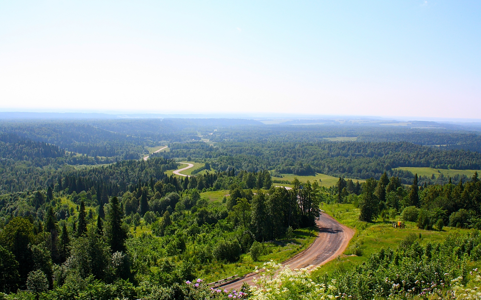 Картинки Дорога, посмотрите, сверху, ясно, деревья, пейзаж фото и обои на рабочий стол