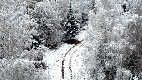 Зима, дорога, снег, иней, деревья, сверху, морозы