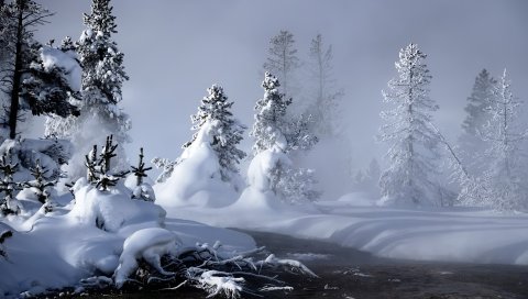 Снег, вода, туман, пар, елки, деревья, река
