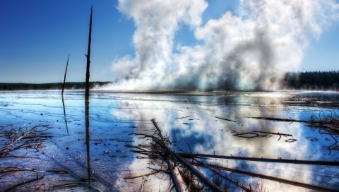 Деревья, ветви, источник, пар, тепло, вода