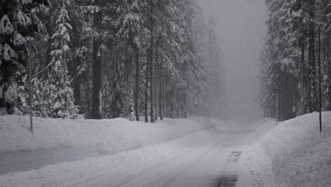 Зима, дорога, снег, ель, панорама