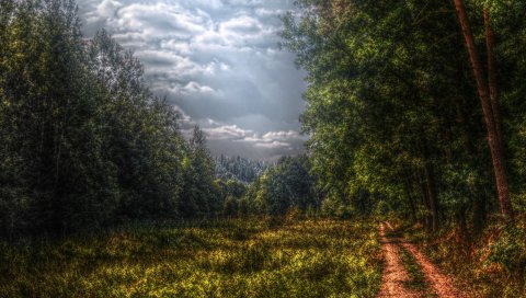 Ountry, облачно, облака, поляна, цвета, мрачный
