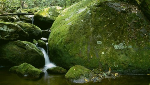 Поток, камни, мох, ветки, весна