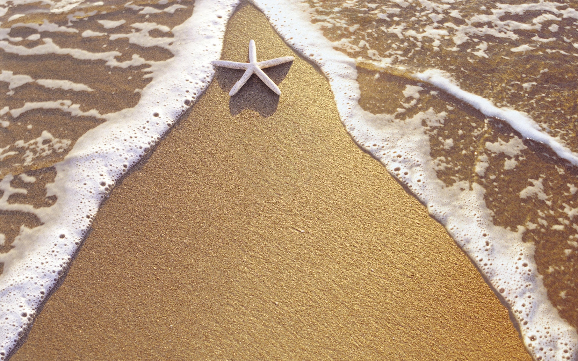 Картинки Морская звезда, песок, море, пена, треугольник фото и обои на рабочий стол