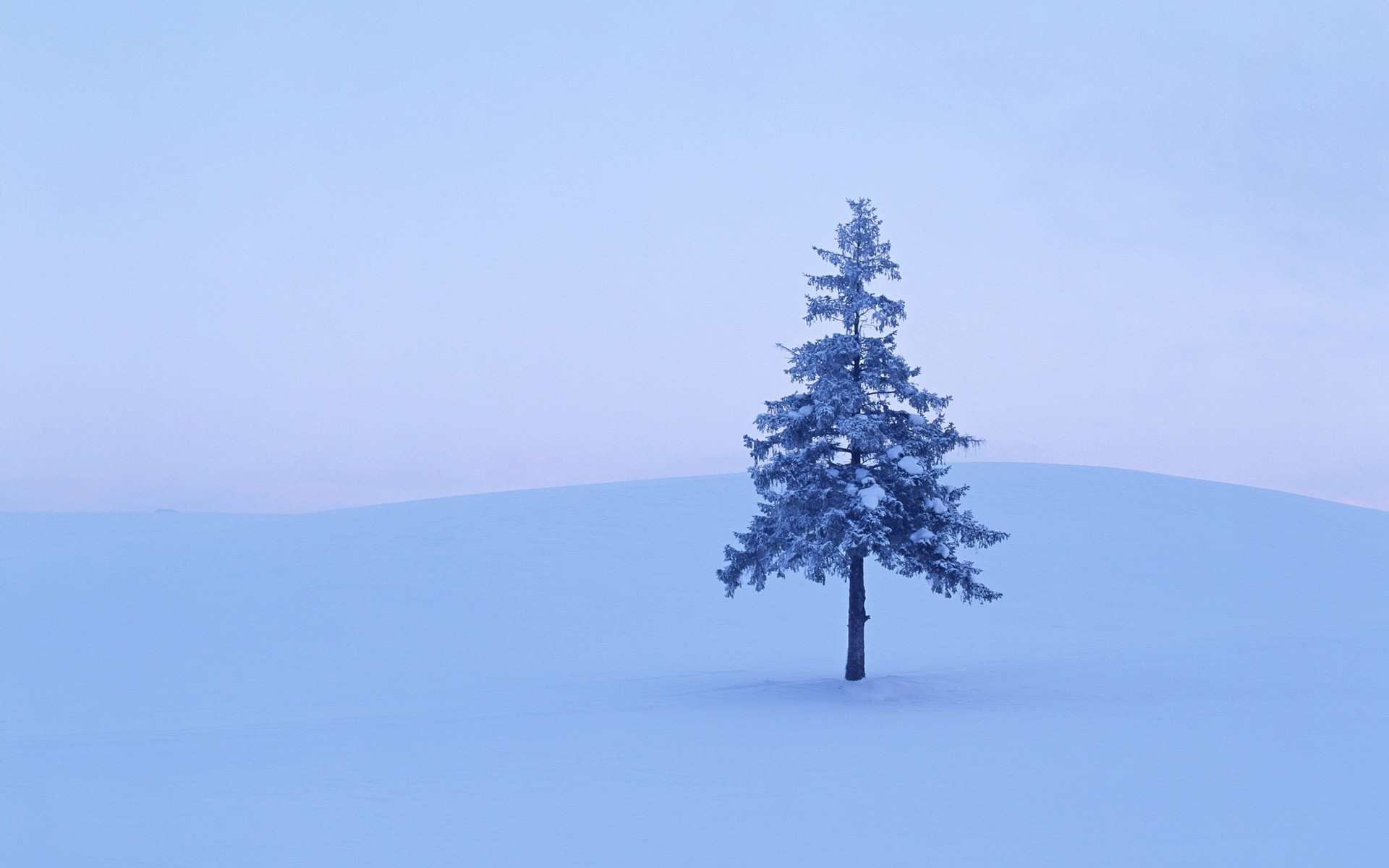 Картинки Осень, деревья, ветка, цвета, желтый, берег, река, ясно фото и обои на рабочий стол