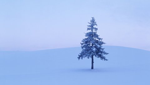 Осень, деревья, ветка, цвета, желтый, берег, река, ясно