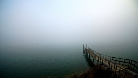 Вода, ручей, лес, источник, камни, мох, течение, шум