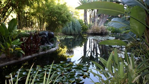 Лилии, пруд, статуя, листья, растительность