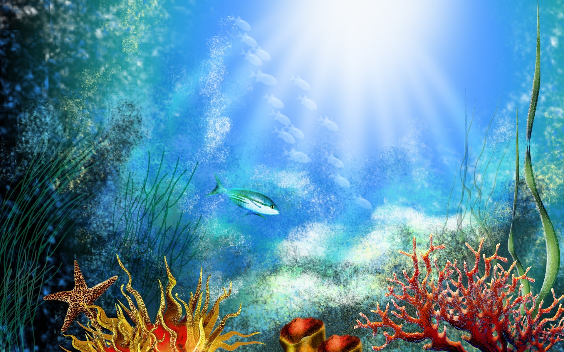 Картинки МОГ, под водой, водоросли, растительность,свет фото и обои на рабочий стол