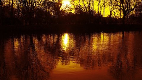 солнце, свет, закат, вечер, озеро, деревья, оранжевый, рябь