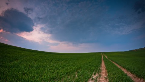 поле, дорога, страна, зерновые культуры, панорама, зеленый