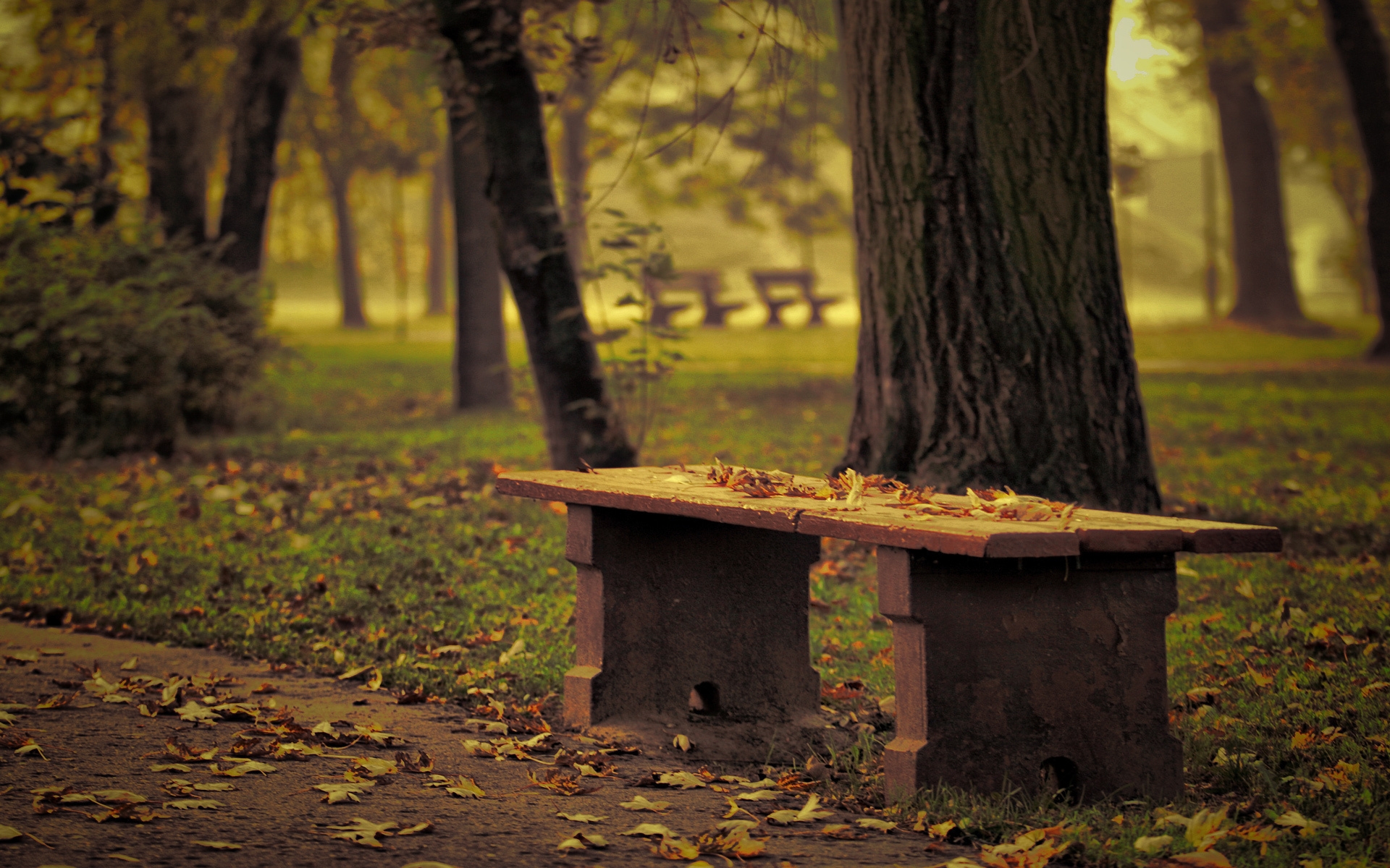 Картинки скамейка, парк, листья, осень, деревья, одиночество фото и обои на рабочий стол