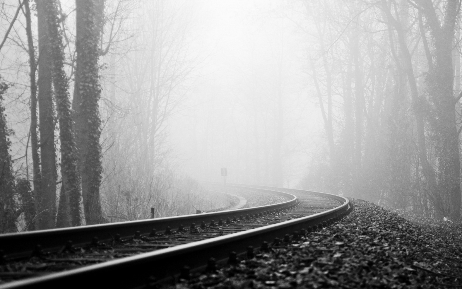 Картинки рельсы, железная дорога, туман, поворот, черно-белый, мрачное фото и обои на рабочий стол