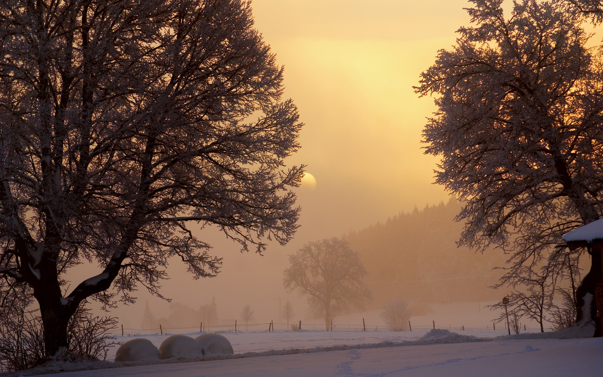 Картинки рассвет, зима, солнце, небо, блеск, утро, деревья, снег, туман, мороз, садовое фото и обои на рабочий стол
