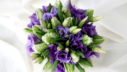 Russell lisianthus, тюльпаны, цветы, букет, украшение